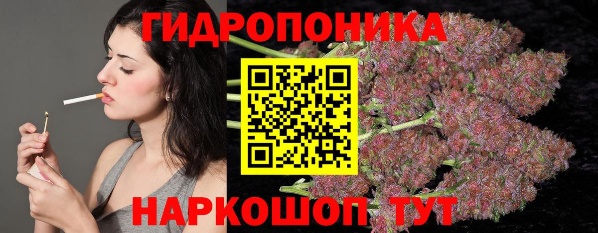 Бошки марихуана индика  Вход с VPN  Петрозаводск  Каннабис White Widow  Бошки марихуана THC 21% 